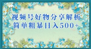 视频号好物分享解析，简单粗暴可以批量方大的项目【揭秘】-网赚资源网