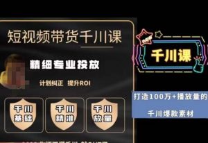 短视频带货-千川专业投放课,精细化专业投放,计划纠正,提升ROI-网赚资源网