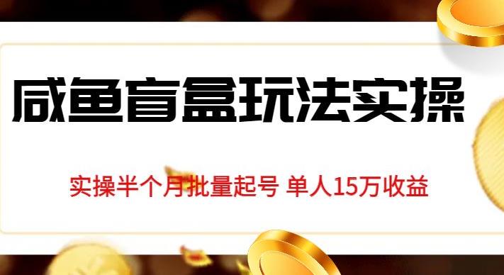 独家首发咸鱼盲盒玩法实操，半个月批量起号单人15万收益【揭秘】 - 网赚资源网-网赚资源网