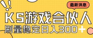 快手游戏合伙人新项目,新手小白也可日入300+,工作室可大量跑-网赚资源网