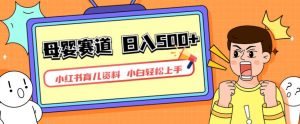 小红书育儿资料,一部手机可操作,多种变现方式,日入500+,私域变现,长期可持续项目【揭秘】-网赚资源网