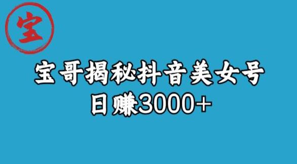 宝哥揭秘抖音美女号玩法，日赚3000+【揭秘】 - 网赚资源网-网赚资源网