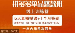 钟辰·拼多多单品爆款班,一个拼多多超级爆款养一个团队-网赚资源网