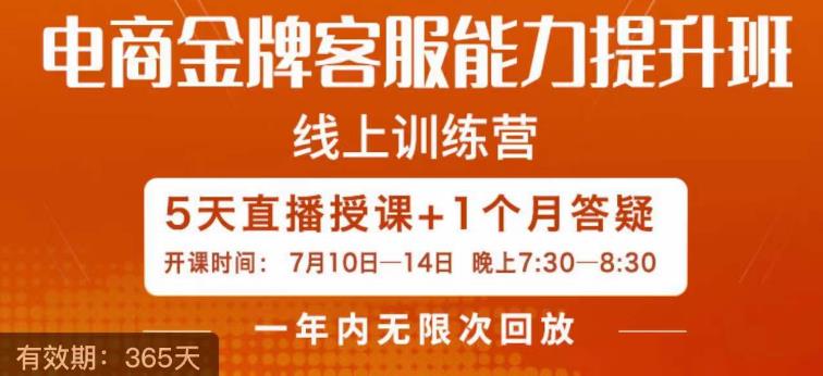 电商金牌客服能力提升班，提升客服能力是你店铺业绩的关键要素 - 网赚资源网-网赚资源网
