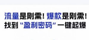 电商盈利精品课：6大盈利密码让产品更好卖，流量是刚需！爆款是刚需！找到”盈利密码”一键起爆-网赚资源网
