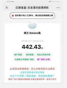 盲盒交友5.0，男粉变现实操项目，亲测变现效果极好【揭秘】-网赚资源网