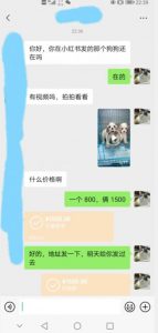 外边收费3980的同城萌宠项目,用最冷门的玩法冲击最热门的市场【揭秘】-网赚资源网