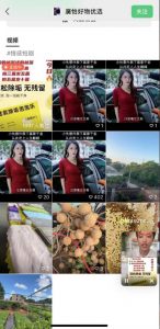 外面收费198的最新视频号连怼技术，条条原创，条条爆单【揭秘】-网赚资源网