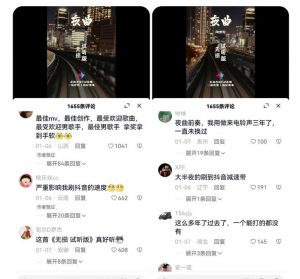 副业拆解:抖音杰伦音乐号涨粉变现项目,视频版一条龙实操玩法分享给你-网赚资源网