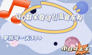 QQ群全自动引流音乐粉，单账号一天轻松引流30+-网赚资源网