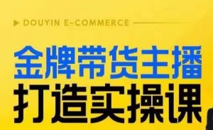 金牌带货主播打造实操课，直播间小公主丹丹老师告诉你，百万主播不可追，高效复制是王道！-网赚资源网