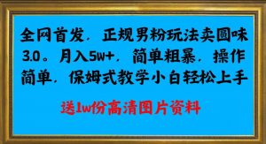 全网首发正规男粉玩法卖圆味3.0,月入5W+,简单粗暴,操作简单,保姆式教学,小白轻松上手-网赚资源网