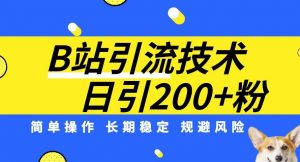 B站引流技术:每天引流200精准粉,简单操作,长期稳定,规避风险-网赚资源网