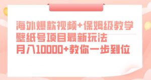 海外爆款视频+保姆级教学,壁纸号项目最新玩法,月入10000+教你一步到位【揭秘】-网赚资源网