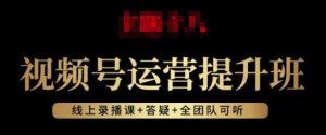 视频号运营提升班:视频号起号逻辑,视频号选品技巧及带货-网赚资源网