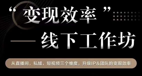 变现效率线下工作坊，从‮播直‬间、私域、‮视短‬频‮个三‬维度，升级IP和团队变现效率 - 网赚资源网-网赚资源网