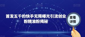 首发五千的快手无限曝光引流创业粉精准粉揭秘-网赚资源网