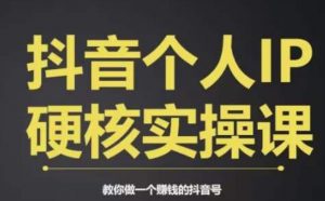 个人IP创富系统实战课，商业定位，流量打造，短视频变现，教你做个赚钱的抖音号-网赚资源网
