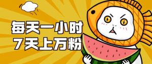 暴力涨粉项目:每天一小时,七天上万粉【揭秘】-网赚资源网