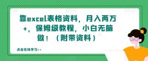 靠excel表格资料,月入两万+,保姆级教程,小白无脑做!(附带资料)【揭秘】-网赚资源网