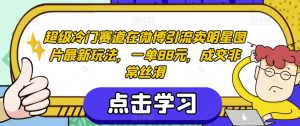 超级冷门赛道在微博引流卖明星图片最新玩法,一单88元,成交非常丝滑【揭秘】-网赚资源网