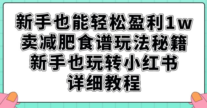 新手也能轻松盈利1w，卖减肥食谱玩法秘籍，新手也玩转小红书详细教程【揭秘】 - 网赚资源网-网赚资源网
