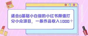 适合0基础小白做的小红书颜值打分小众项目,一条作品收入1000+【揭秘】-网赚资源网