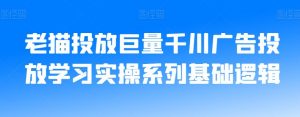 老猫投放巨量千川广告投放学习实操系列基础逻辑-网赚资源网