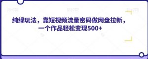 纯绿玩法，靠短视频流量密码做网盘拉新，一个作品轻松变现500+【揭秘】 - 网赚资源网-网赚资源网