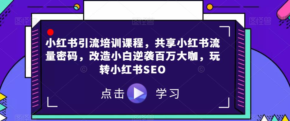 小红书引流培训课程，共享小红书流量密码，改造小白逆袭百万大咖，玩转小红书SEO - 网赚资源网-网赚资源网