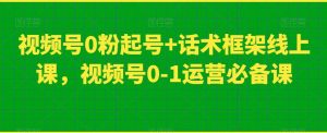 视频号0粉起号+话术框架线上课,视频号0-1运营必备课-网赚资源网