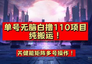 9月全网首发,单号直接白撸110!可多号操作,无脑搬运复制粘贴【揭秘】-网赚资源网