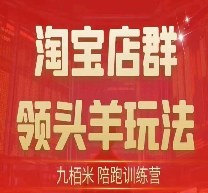 九栢米-淘宝店群领头羊玩法，教你整个淘宝店群领头羊玩法以及精细化/终极蓝海/尾销等内容 - 网赚资源网-网赚资源网