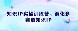 知识IP实操训练营,孵化多赛道知识IP-网赚资源网