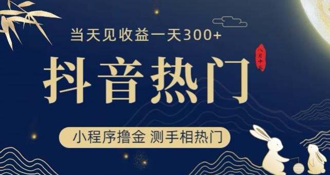 抖音最新小程序撸金，测手相上热门，当天见收益一小时变现300+【揭秘】 - 网赚资源网-网赚资源网