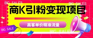 商K引粉变现项目,高客单价精准流量【揭秘】-网赚资源网