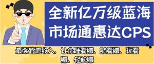 全新亿万级蓝海市场通惠达cps,最强管道收入,让你睡着赚、躺着赚、玩着赚、轻松赚【揭秘】-网赚资源网