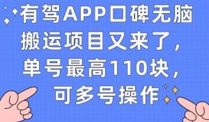 有驾APP口碑无脑搬运项目又来了,单号最高110块,可多号操作-网赚资源网