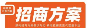王昕招商方案,解构招商方案意识形态,精准把握渠道代理基本法-网赚资源网