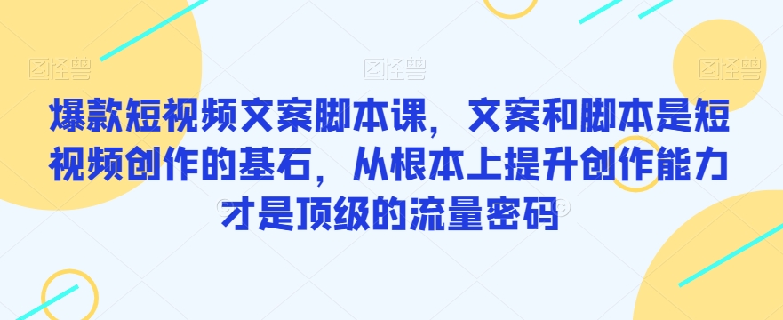 爆款短视频文案脚本课，文案和脚本是短视频创作的基石，从根本上提升创作能力才是顶级的流量密码 - 网赚资源网-网赚资源网