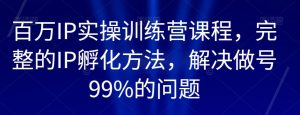 百万IP实操训练营课程,完整的IP孵化方法,解决做号99%的问题-网赚资源网
