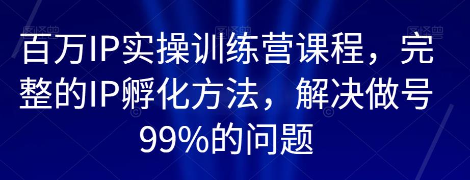 百万IP实操训练营课程，完整的IP孵化方法，解决做号99%的问题 - 网赚资源网-网赚资源网