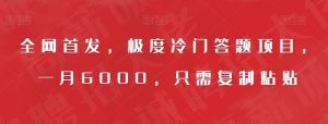 全网首发,极度冷门答题项目,一月6000,只需复制粘贴【揭秘】-网赚资源网