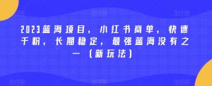 2023蓝海项目,小红书商单,快速千粉,长期稳定,最强蓝海没有之一(新玩法)-网赚资源网