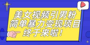 价值3980的男粉暴力引流变现项目，一部手机简单操作，新手小白轻松上手，每日收益500+【揭秘】-网赚资源网