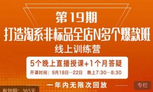 打造淘系非标全店N多个爆款线上课，​5天直播课-网赚资源网