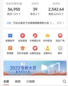 全新蓝海,西瓜视频流量掘金项目,简单上手适合0基础小白,暴力玩法日入500+【揭秘】-网赚资源网