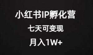 价值2000+的小红书IP孵化营项目,超级大蓝海,七天即可开始变现,稳定月入1W+-网赚资源网