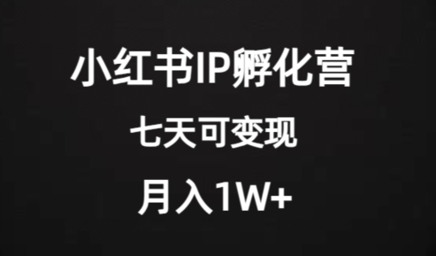 价值2000+的小红书IP孵化营项目，超级大蓝海，七天即可开始变现，稳定月入1W+ - 网赚资源网-网赚资源网