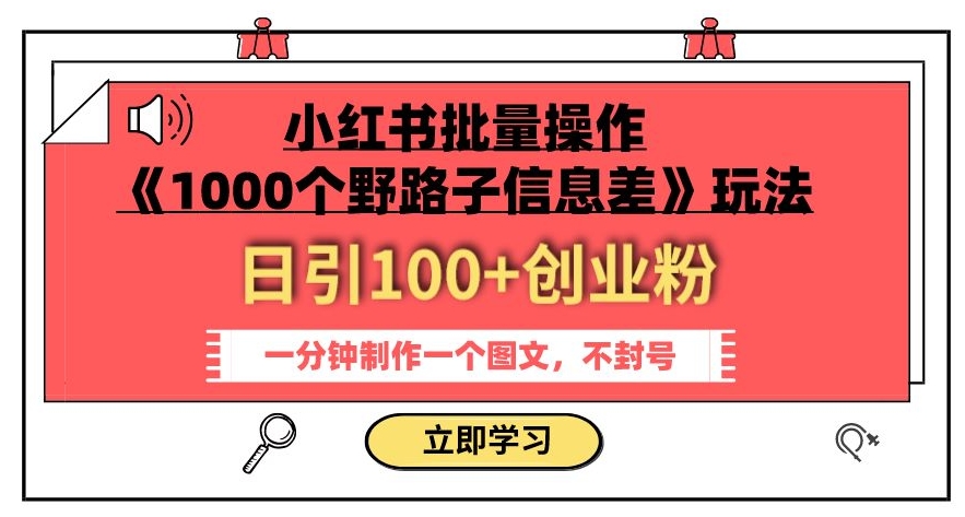 小红书批量操作《1000个野路子信息差》玩法，一分钟制作一个图文，不封号，日引100+创业粉 - 网赚资源网-网赚资源网